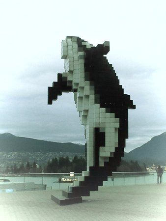 Digital Orca